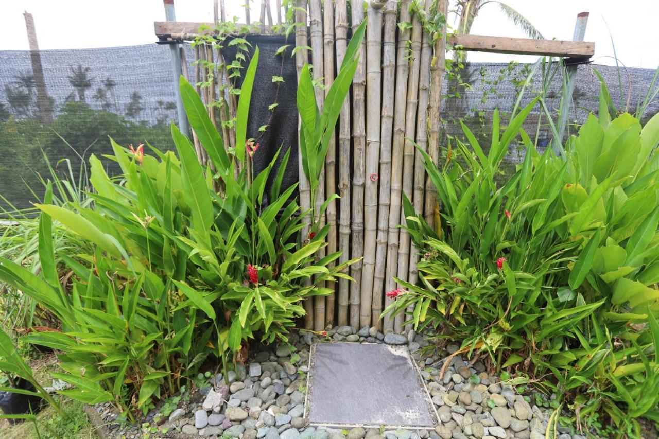 Lafinca Hostel Siargao San Isidro  Екстериор снимка
